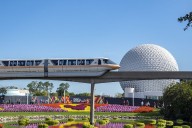 Walt Disney World Monorail Shuts Down Briefly Following Electrical Fire Incident