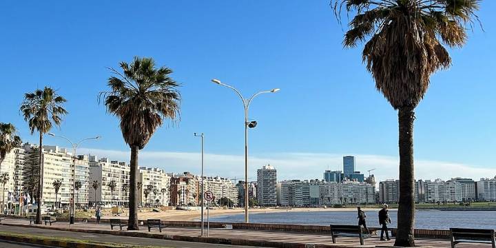 Clima en Montevideo: temperatura y probabilidad de lluvia para el miércoles 12 de noviembre