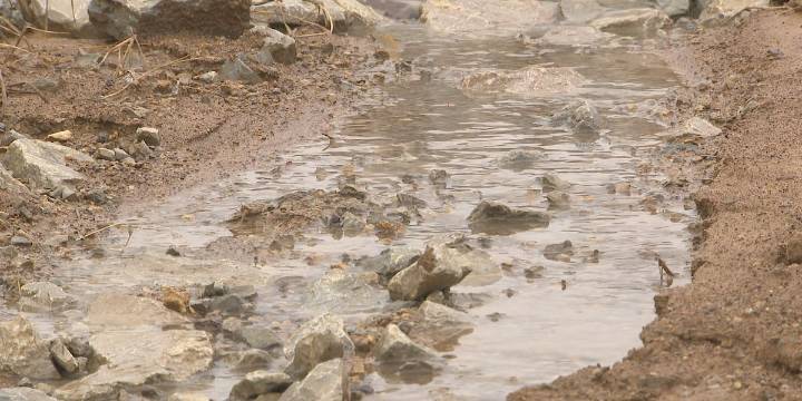 WKYT Investigates | Pet waste can threaten Lexington waterways