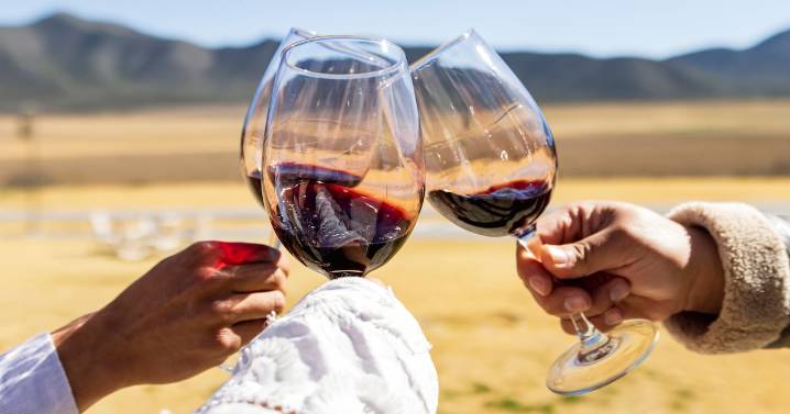 Parras te invita a descubrir su historia, vinos y  experiencias únicas