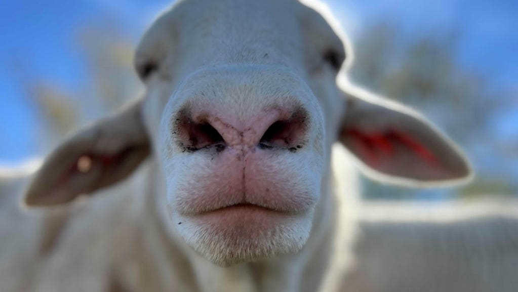 5 things to do in Newport County the weekend after Thanksgiving