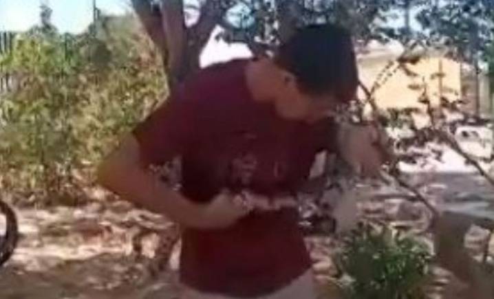 Estudiante se quiso hacer el experto y terminó con tremenda mordida de una boa