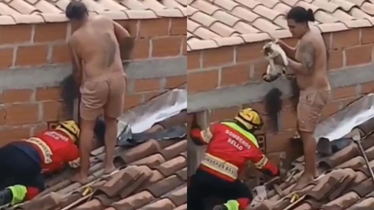 Gato quedó atrapado entre dos paredes en Bello y tuvo que ser rescatado por bomberos