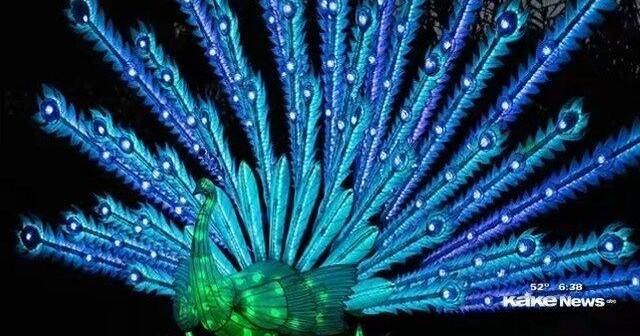 Wild Lights canceled Thursday night due to rain, zoo says