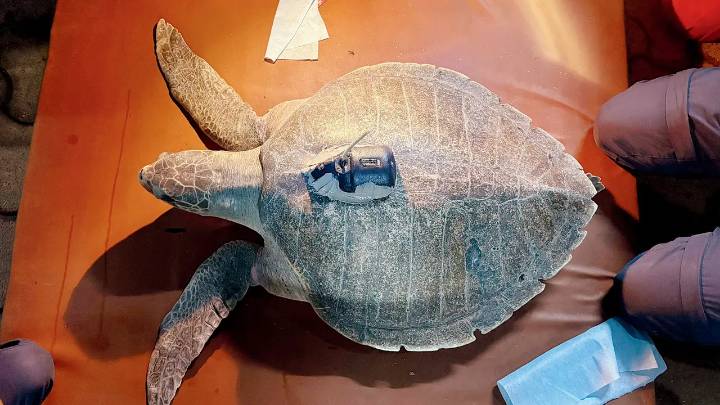 Maharashtra’s coast gets its first satellite