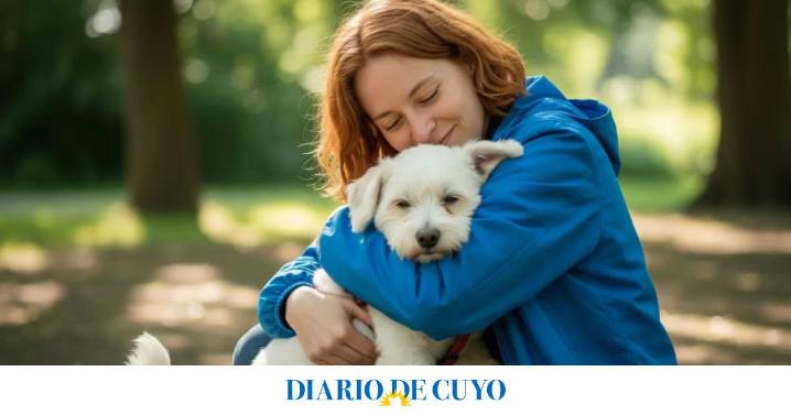 El efecto negativo que puede tener abrazar a los perros, según una especialista en conducta animal