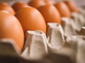 Cierre de gobierno en EU: Se quedan 42 millones sin ayuda para comer