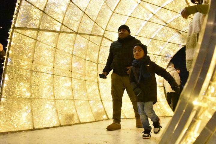 Tree lighting brightens Tinley Park’s Harmony Plaza