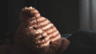 AI Teddy Bear Pulled From Shelves After Giving Sexual Responses To Testers