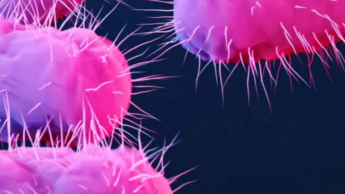 The Silent Pandemic: Why India Is Most Vulnerable And What's The Plan