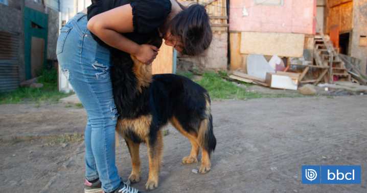 Familias de megatoma San Antonio rechazan albergue: es insuficiente y les prohíben llevar sus mascotas