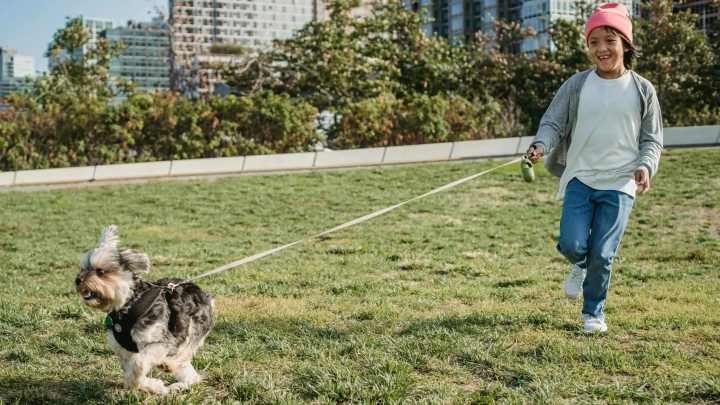 El vínculo que transforma: cómo convivir con un perro impulsa el desarrollo emocional de los niños