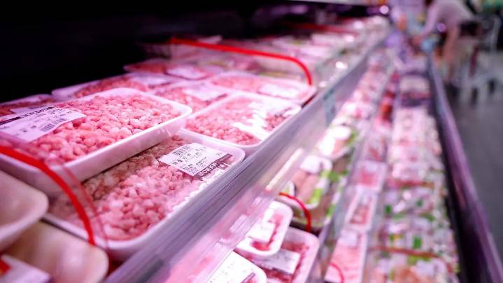 España promete limitar “al máximo” el impacto de un foco de peste porcina africana