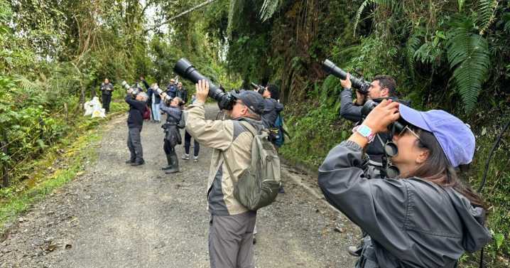 Aves, cámaras y educación: así empezó el Congreso de Aviturismo en Caldas