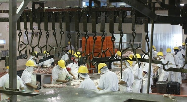 Asignan a escuelas recursos de rastro