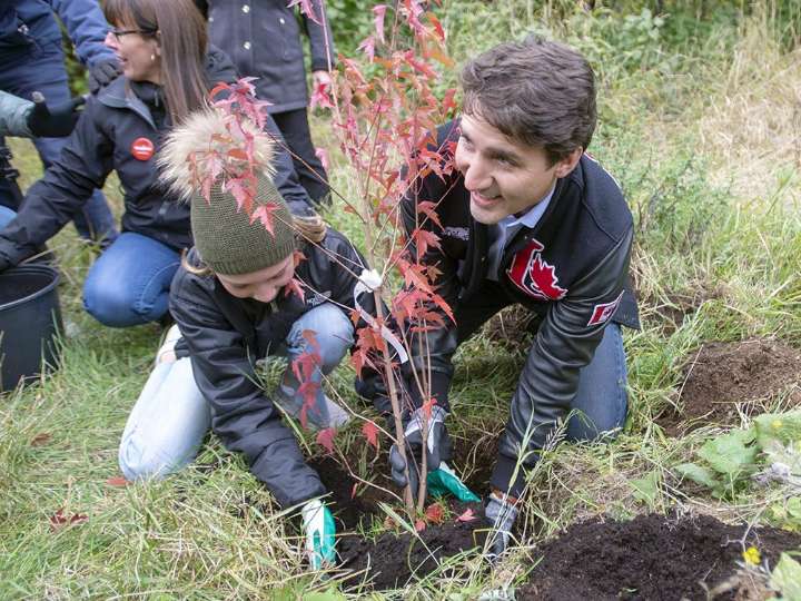Liberals cancelling Trudeau plan to plant two