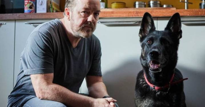 Series y streaming: «After Life», el duelo según Ricky Gervais