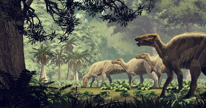 Mating injuries may lead scientists to identify dinosaurs’ sex