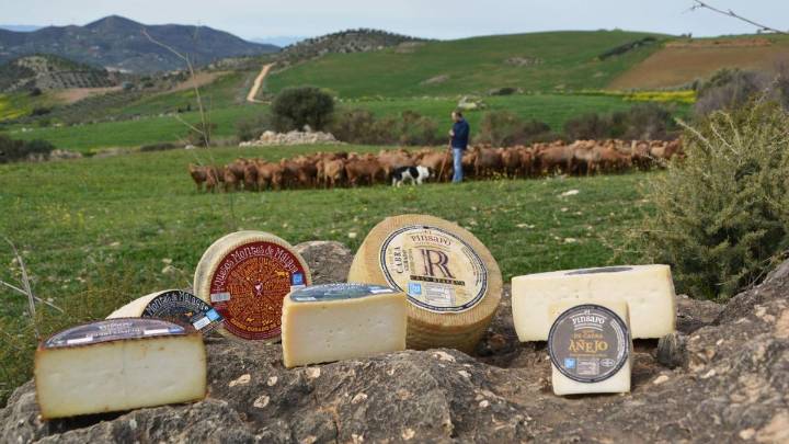 Un queso de cabra curado de Málaga, entre los 51 mejores quesos del mundo