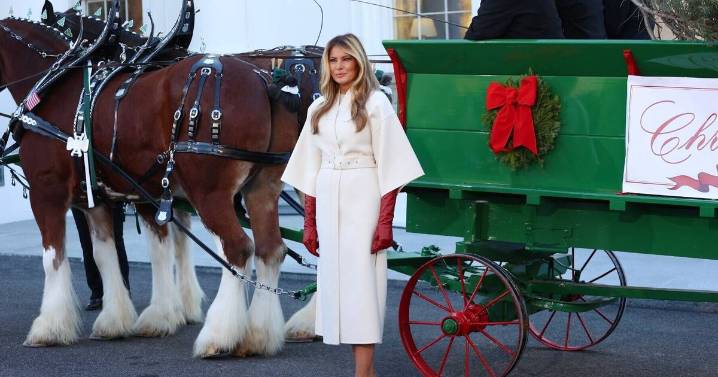 Melania Trump's Christmas outfit gets awkward comparison
