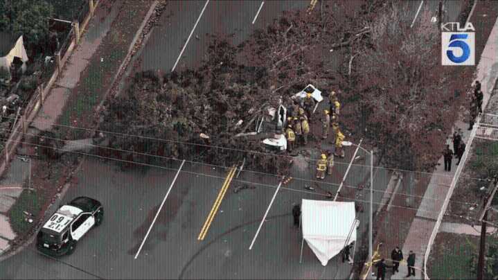 1 killed after large tree falls onto vehicles in Winnetka