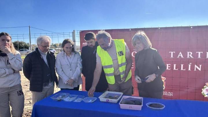 Los nuevos descubrimientos de la necrópolis tartésica de Medellín