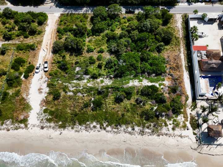 Profepa clausura 31 obras en 14 estados por daños ambientales a humedales, dunas y vegetación costera