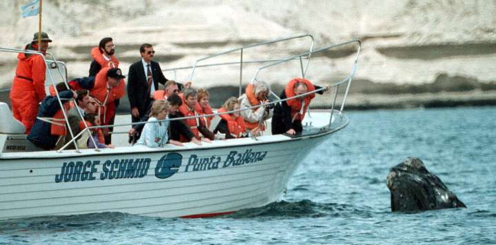 Lady Di y el recuerdo de la sonrisa más triste en el Sur