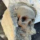 Possible human skull found at Black Falcon Terminal in South Boston