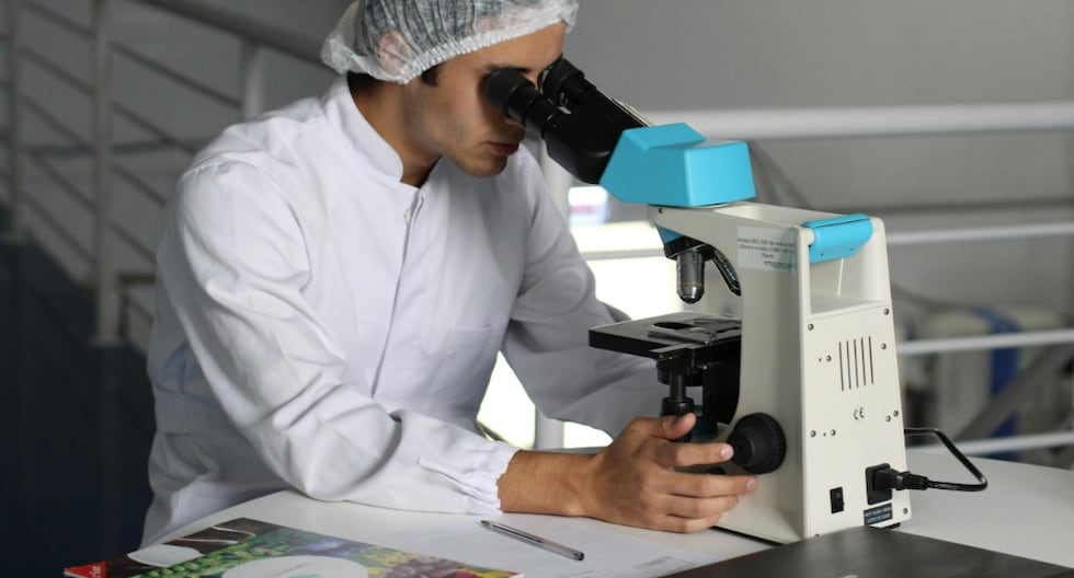 Incentivos tributarios para innovar en Perú se quedarían hasta 2028: las deducciones permitidas