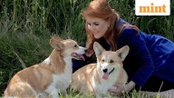 What Happened to Queen Elizabeth’s Corgis? Buckingham Palace shares update