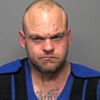 Portage man looking for fight battered 5 juveniles, police say