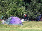 Chatham-Kent council hears encampment advisory committee concerns