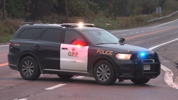 22-year-old man dead after car crash in Bracebridge, Ont.: OPP
