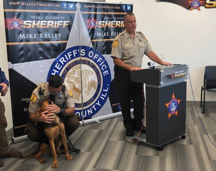 Primaries in four Will County districts, sheriff's race