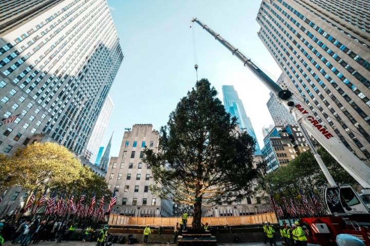 Rockefeller Center Christmas tree arrives in New York City