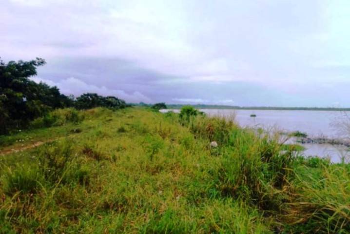 Daniel fue a pescar y terminó pescado