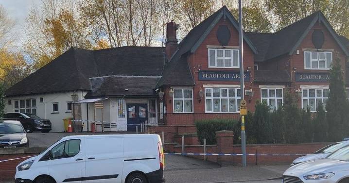 Boy, 15, knifed in Halloween horror on busy Birmingham street