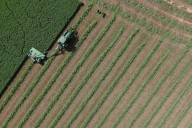 From tractors to ChatGPT: Lessons from agriculture on how AI will transform work