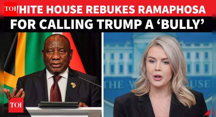 ‘WATCH YOUR TONE!’: Leavitt FUMES After Ramaphosa 'Laughs' At Trump’s Last