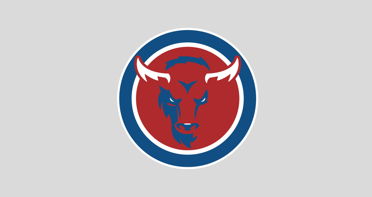 Buffalo Bills playoff odds & Week 13 NFL power rankings