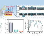 Cool comfort: beating the heat with high