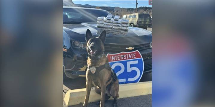 Man arrested after 26 pounds of cocaine seized during traffic stop in Trinidad