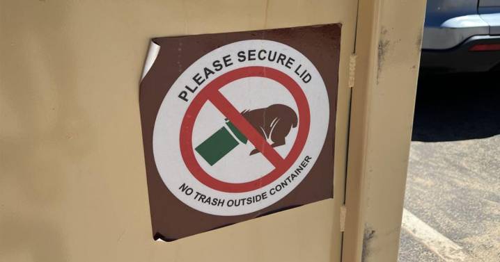 2 Tahoe residents hurt by hungry bear who got into their home