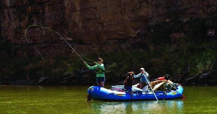 Entertainment Calendar: Nov. 5