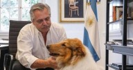 Murió Dylan, el perro de Alberto Fernández