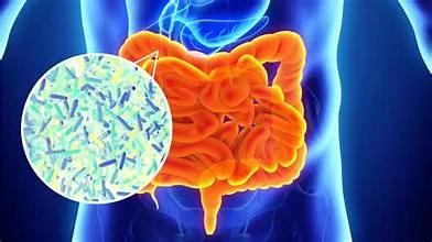 Scientists find E. Coli spreads as fast as swine flu: Study