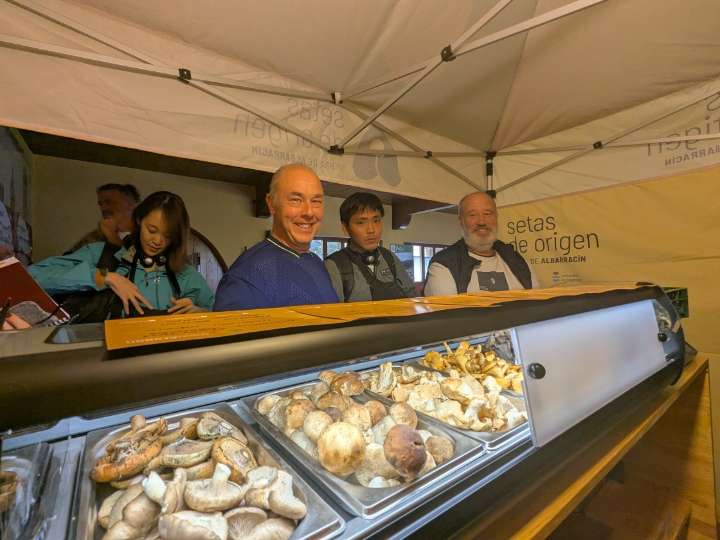 Profesionalizar la figura del recolector y renovar las masas forestales, claves en el futuro del recurso micológico