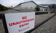 18 poultry farms in B.C. dealing with avian flu outbreaks