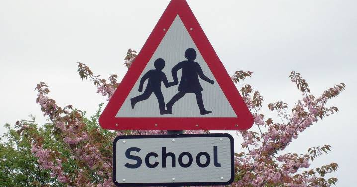 Zebra crossings to replace vacant lollipop patrols outside schools